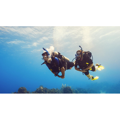 PADI Open Water Diver Referral